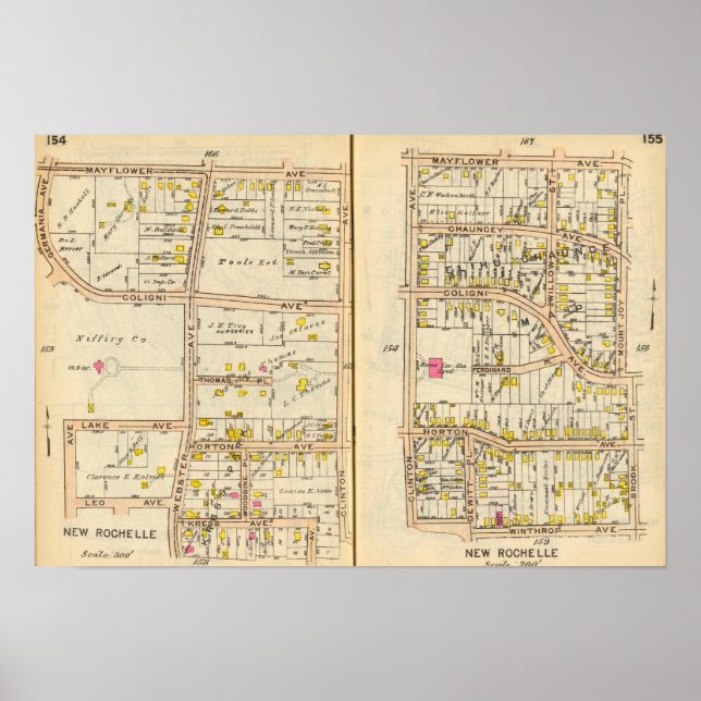 Póster 154155 Nova Rochelle (Frente)