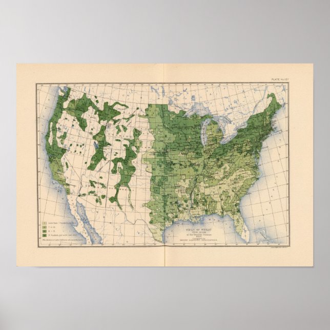 Póster 157 Trigo/acre (Frente)