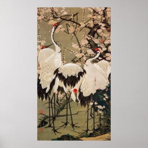 Póster 15. o 梅花群鶴図, ameixa do 若冲 floresce &