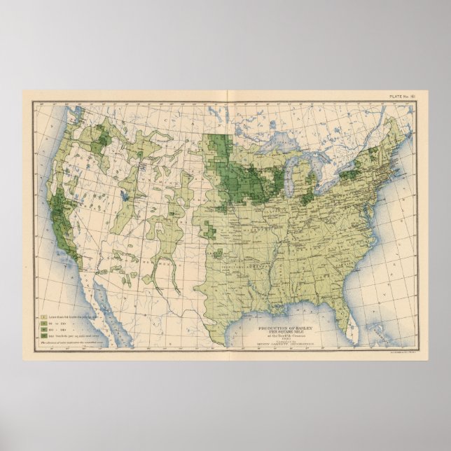 Póster 161 Cevada/milha quadrada (Frente)