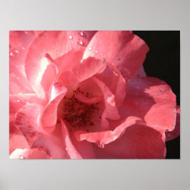 Poster 16 x 12