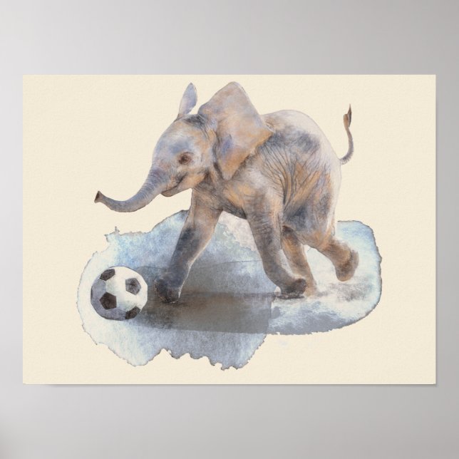 Póster 16" x 12", papel de pôster de lona Premium (brilho (Frente)