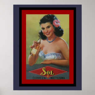 Poster 16 x 20 da cerveja do solenóide Cerveza