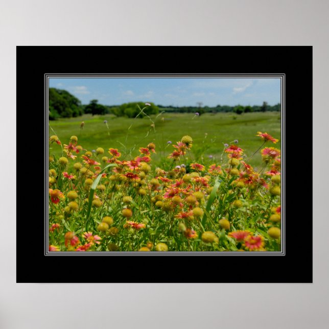Póster 16x20 Flor-do-índio (Frente)