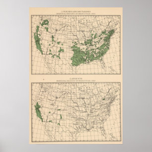 Póster 176 pêssegos, nectarina, abricós