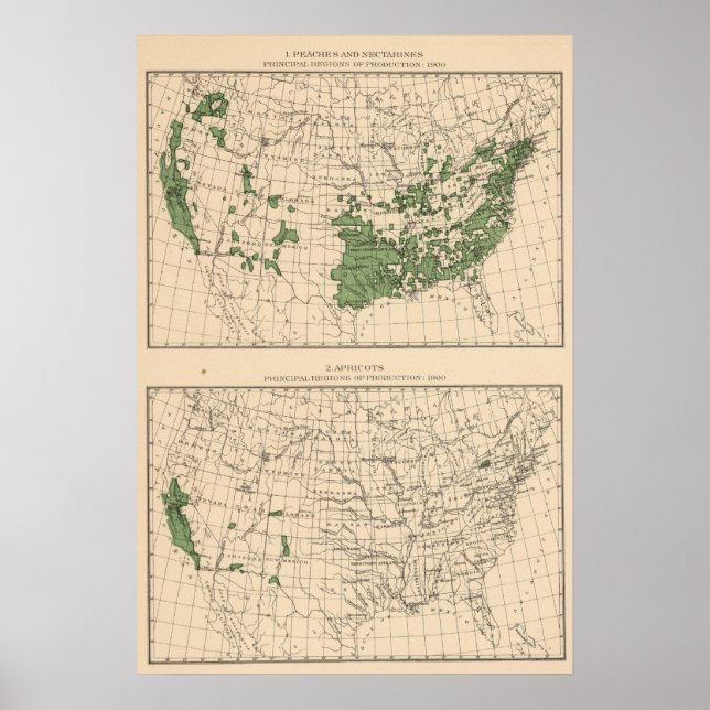 Póster 176 Pêssegos, nectarinas, damascos (Frente)