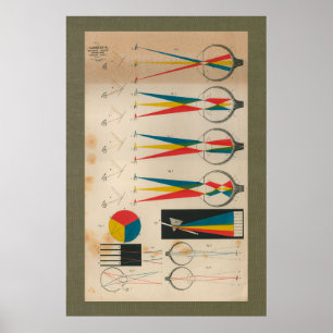 Póster 1851 Vintage Vision Anatomy Chart