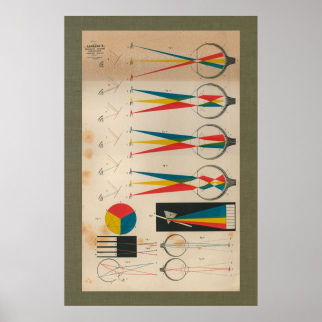 Póster 1851 Vintage Vision Anatomy Chart (Frente)