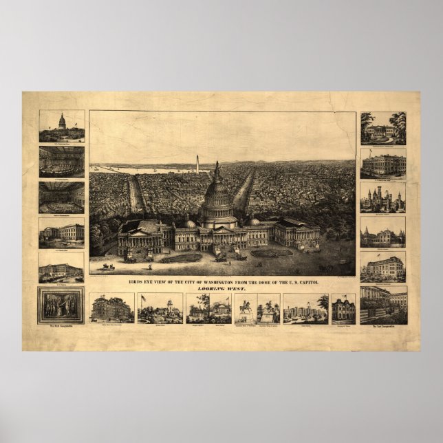 Poster 1860-90 Washington DC Birds Ver Mapa Panorâmico (Frente)