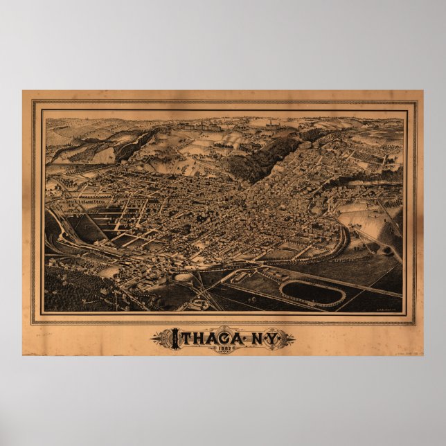 Póster 1882 Ítaca, NY Pássaros Olham Ver Mapa Panorâmico (Frente)