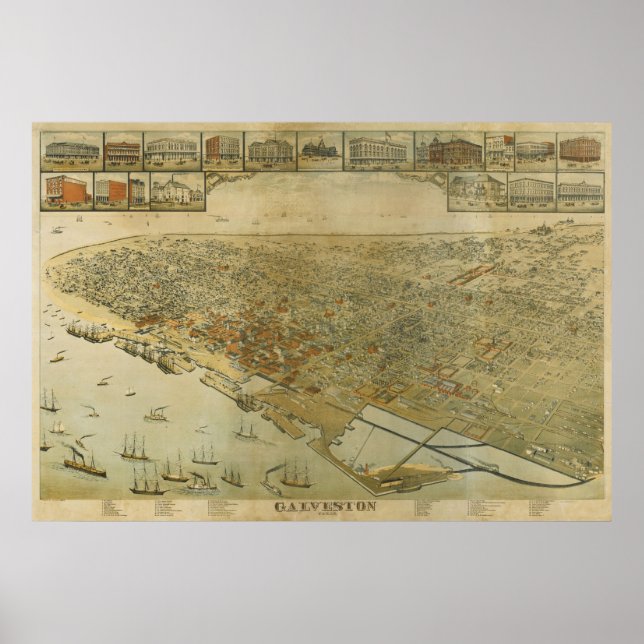 Póster 1885 Galveston, TX Birds Olhos Ver Mapa Panorâmico (Frente)