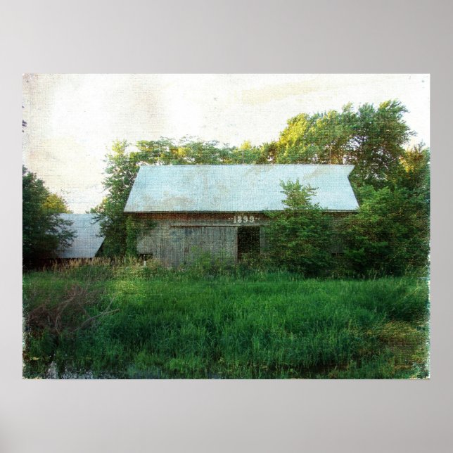 Poster 1899 Barn (Frente)