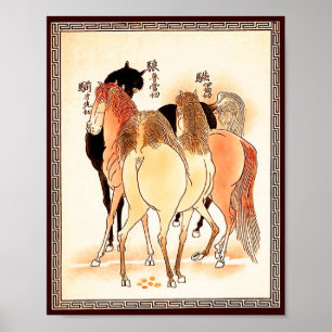 Póster 18 Cavalos: Chamada de Natureza
