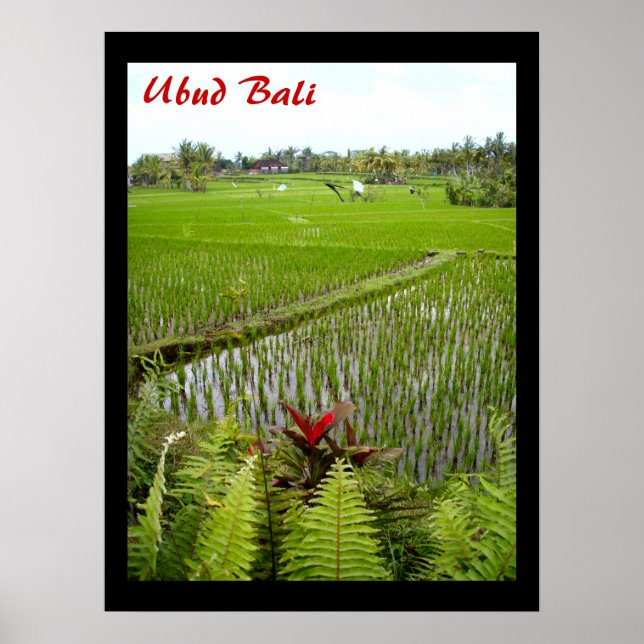 Poster (18" x 24") O Ubud Bali Flor (Frente)