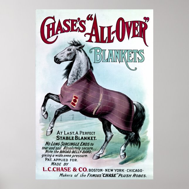 Poster 19ºC. Cobertores de Cavalo de Chase (Frente)