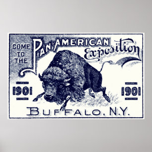 Póster 1901 expos pan-americanos