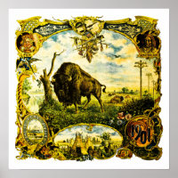 1901 Exposição Pan-Americana Búfalo NY Bisonte Vit