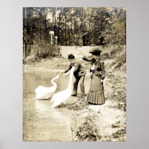 Póster 19o C. Cisnes em Paris