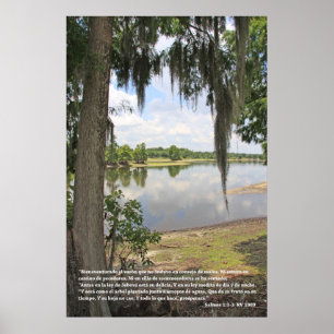 Poster 1:1 de Salmos - 3 (engodo Rio y Arbol do cartel)