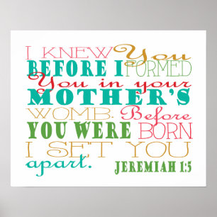 Póster 1:5 de Jeremiah