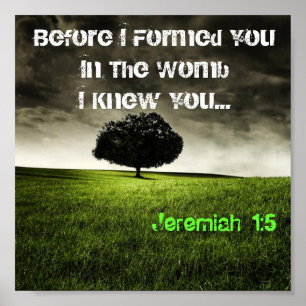Póster 1:5 de JEREMIAH (árvore)