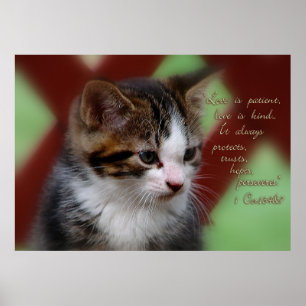 Poster 1 Corinthians 13 Inspiracional