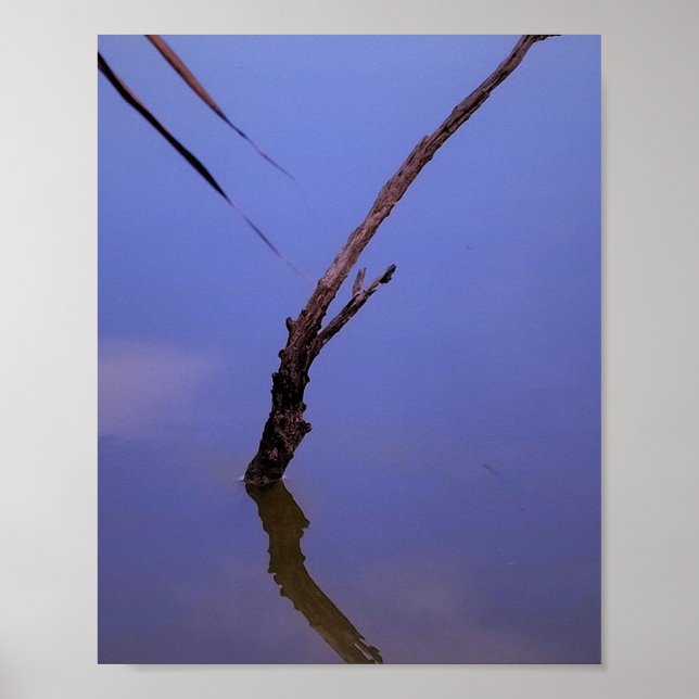 Poster #1-Etang de Scamandre em Camargue. (Frente)