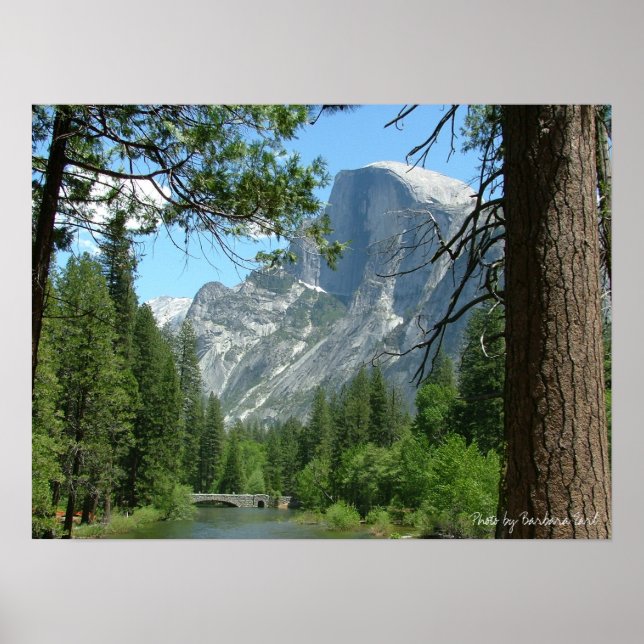 Póster 2005 maio yosemite 198, Foto de Barbara Earl (Frente)