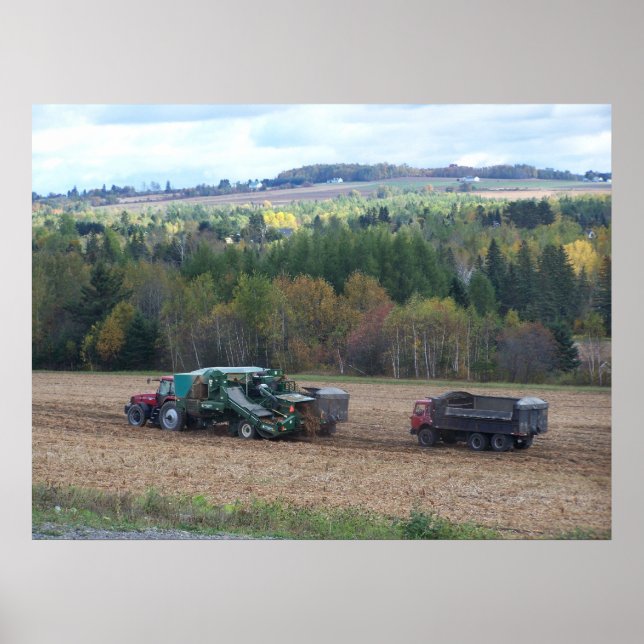 Poster 2009_Maine_Autumn_169 (Frente)