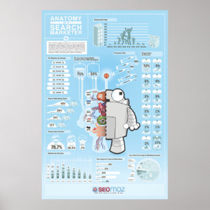 Poster 2010 da avaliação da indústria de SEOmoz
