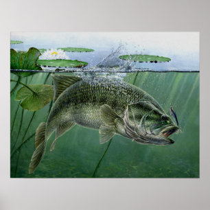 Poster 2010 National Best of Show de A. Hunter