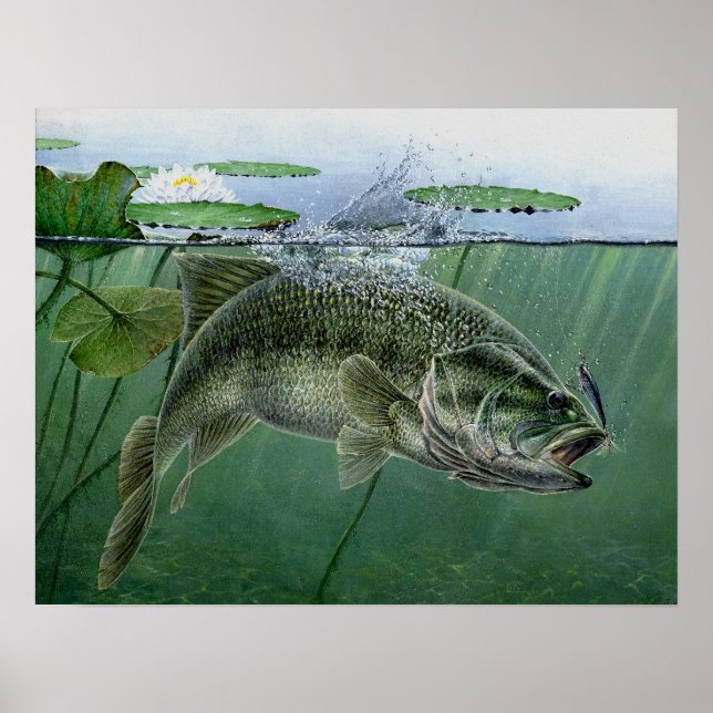 Poster 2010 National Best of Show de A. Hunter (Frente)