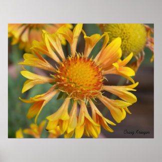 Póster 2010f_may, Craig Krieger