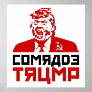 Poster 2017 do protesto do trunfo: "CAMARADA