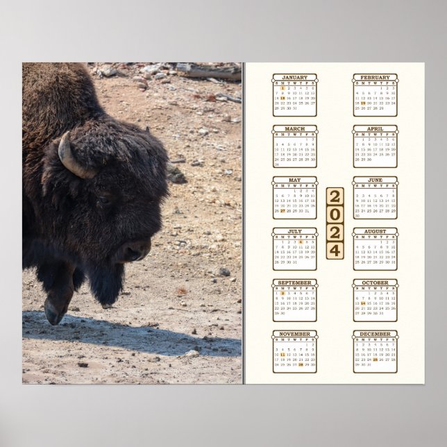 Poster 2024 - "Buffalo" (Frente)