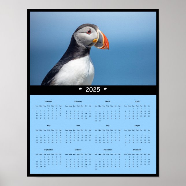 Poster 2025 Atlantic Puffin no Maine Wall Calendar (Frente)