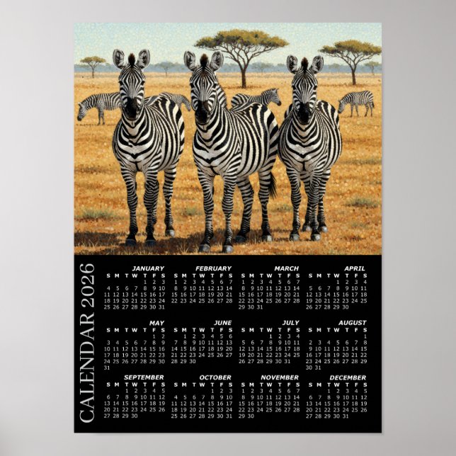 Poster 2026 Calendar, Zebras, African Safari, Africa (Frente)