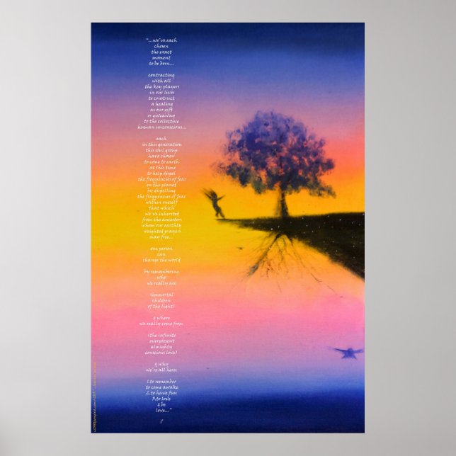 Póster 2055. Aprendendo a pousar? Poster/Impressão (Frente)