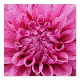 Póster 20"x20", Poster de papel (Semibrilho), cor-de-rosa
