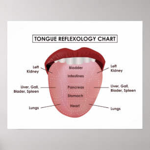 Póster 20" x 16", carta do Reflexology da língua (Matte)