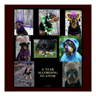 Póster 20 X 20" poster "Um Ano De Acordo Com Annie"