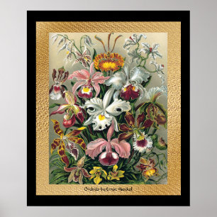 Poster 20 x 24 preto e ouro