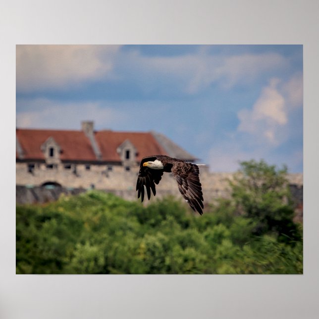 Póster 20x16 Bald Eagle passando Fort Ticonpeta (Frente)