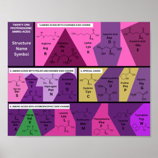 Poster 21 aminoácidos proteinogénicos na estrutura biológ