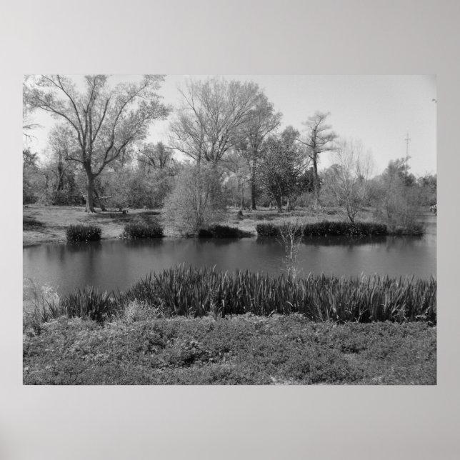 Poster 22 de março (13) Canvas (Frente)