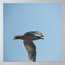 PÓSTER 2367