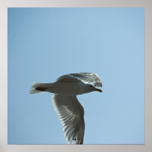 PÓSTER 2367