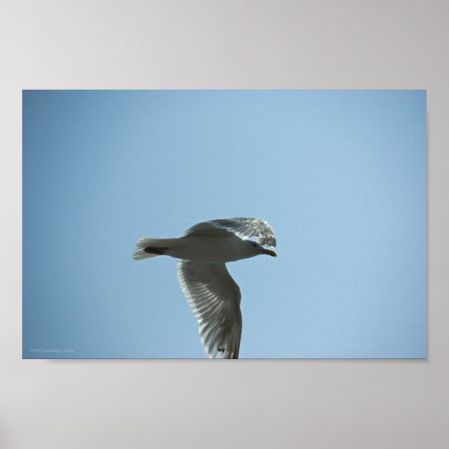 PÓSTER 2367 (Frente)