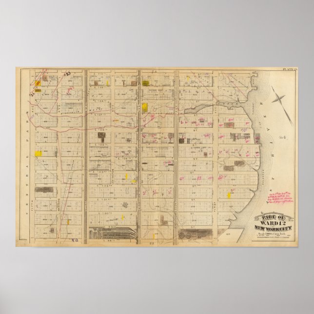 Póster 23 Ward 12 (Frente)