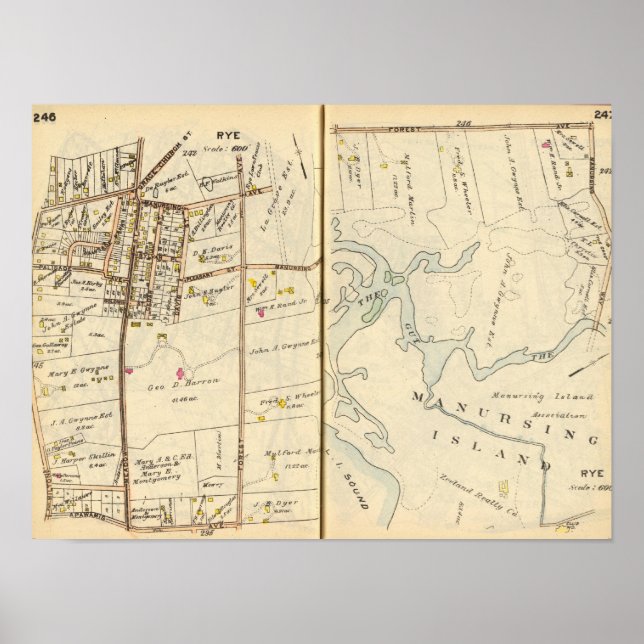 Poster 246247 Centeio (Frente)